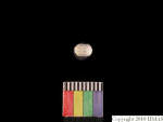 L_V23d1079 J1q673.1 Ux04 dM bd f203.jpg L_V23d1079 J1q673.1 Ux04 dM bd f203
